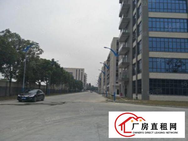  中堂镇75000平方米智能智造高科技产业园出租（可分租）