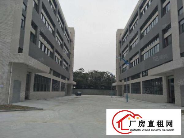  中堂镇75000平方米智能智造高科技产业园出租（可分租）