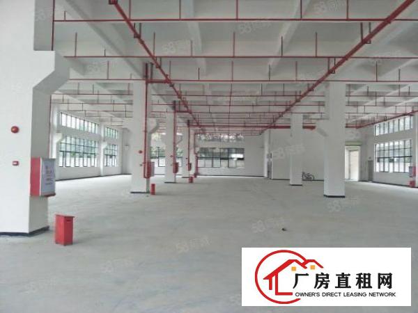  中堂镇75000平方米智能智造高科技产业园出租（可分租）