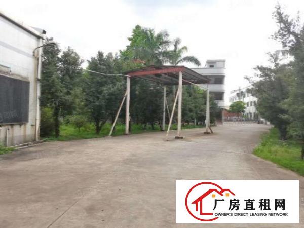  （适用）中堂镇南潢路790平方单一层出租