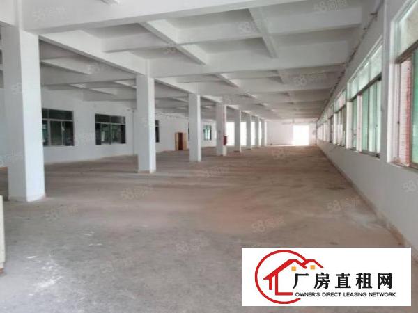  中堂新出独门独院1800平标准厂房，有现成精装修办公室