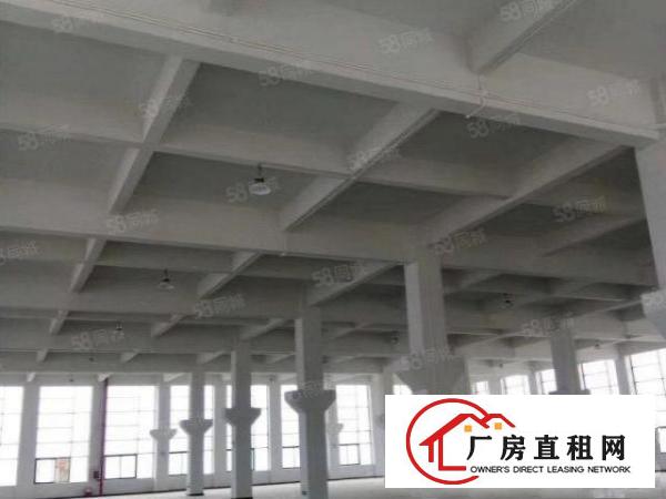  中堂槎滘工业区独院单一层15000平原房东无公滩可环评