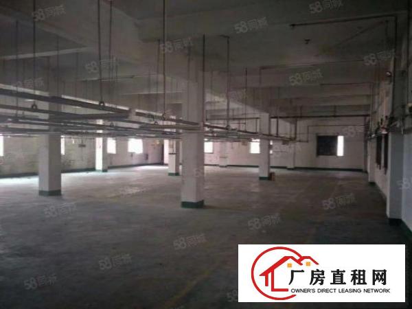 中堂镇新出标准小独院楼房招租