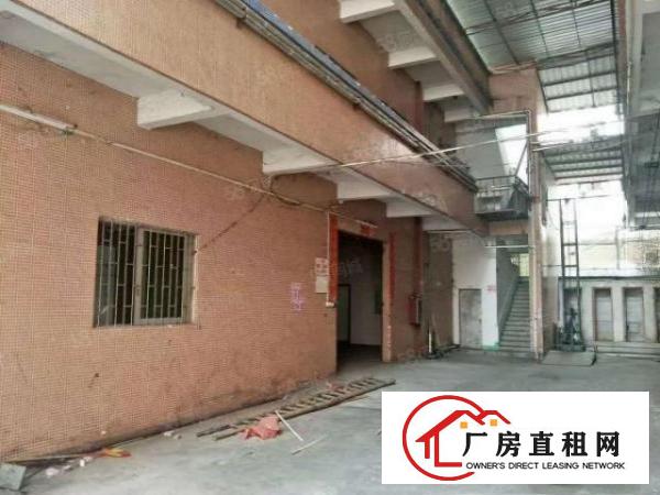  中堂镇新出标准小独院楼房招租