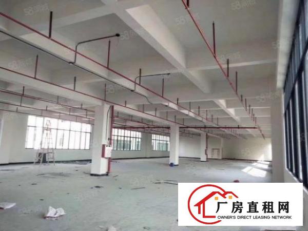  中堂带蒸汽一楼混泥土标准厂房出租（可分租1000平方起）