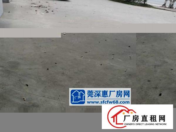  （经典）中堂独门独院3500平方单一层出租
