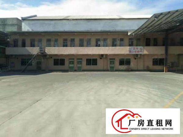  中堂镇北王路18600平方大型科技（物流）园出租（可分租）