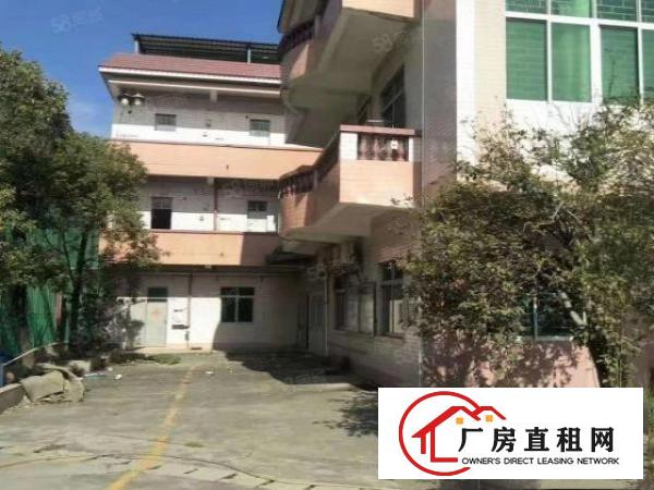  中堂镇北王路18600平方大型科技（物流）园出租（可分租）