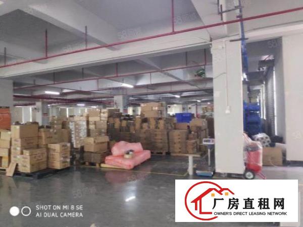  凤岗金凤凰工业区厂房出租2万平方200500平方起租无公摊