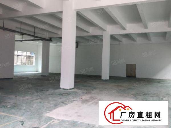  凤岗金凤凰工业区厂房出租2万平方200500平方起租无公摊