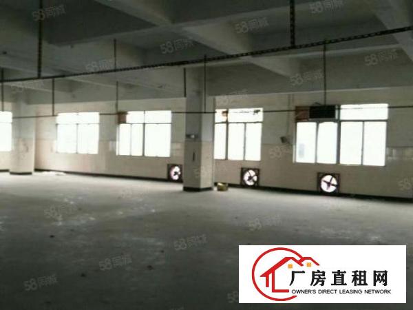  中堂全新带装修厂房950平，带发光地坪漆，现成精装修办公室。