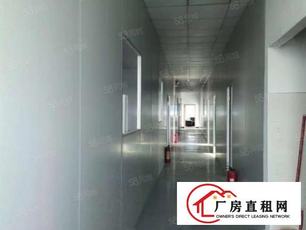  中堂全新带装修厂房950平，带发光地坪漆，现成精装修办公室。