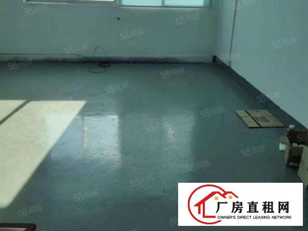  中堂全新带装修厂房950平，带发光地坪漆，现成精装修办公室。