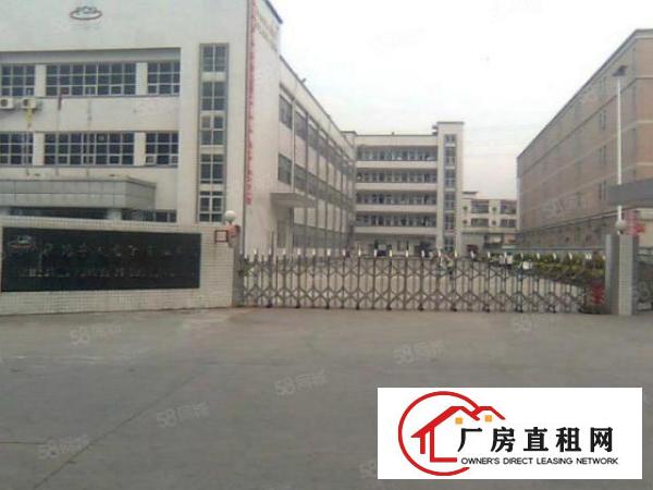  中堂镇东泊工业区大型工业园招租（可分租500平方起）
