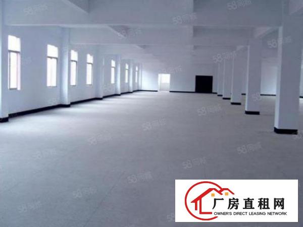  中堂镇东泊工业区大型工业园招租（可分租500平方起）