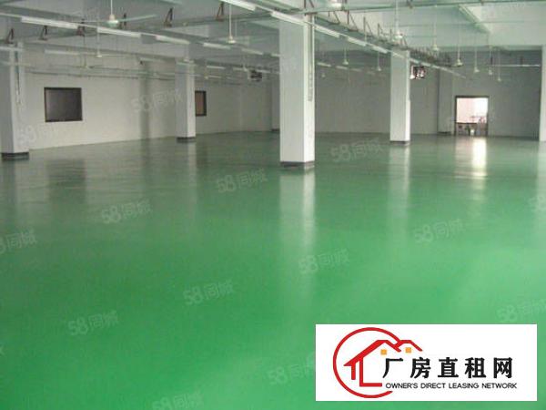  中堂镇东泊工业区大型工业园招租（可分租500平方起）