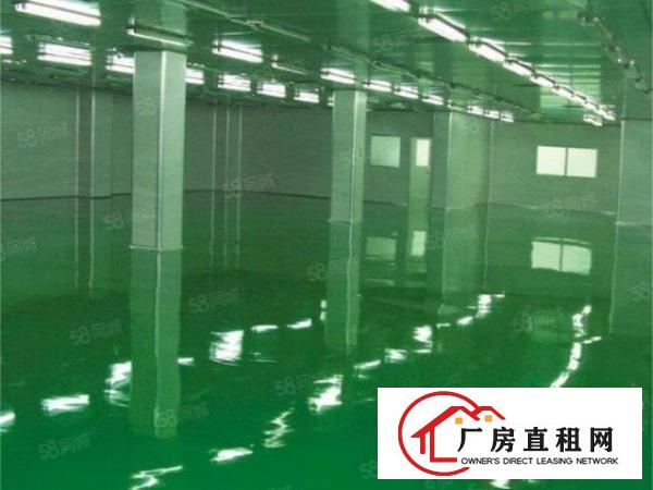  标准无尘车间出租电量大消防合格配套完善