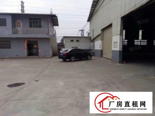  中堂镇新出全新独门独院单一层厂房面积1800平方