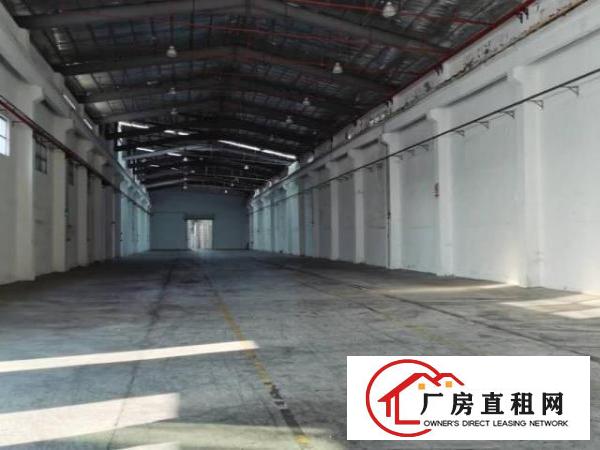  东莞市麻涌镇新出独门独院单一层钢结构厂房6300方出租