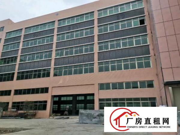  麻涌标准厂房仓库出租