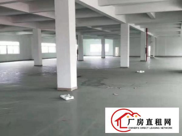  麻涌标准厂房仓库出租