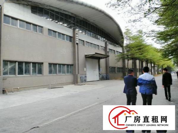  东莞市万江麻涌镇及周边镇区单一层厂房出租，物流园高标仓库出租