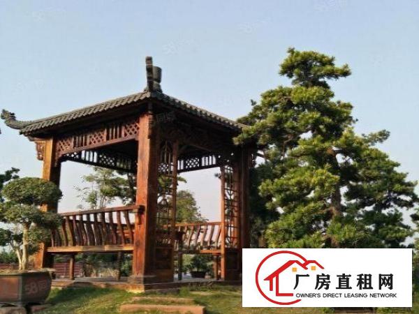  麻涌镇独门独院厂房仓库出租（厂9000平，空地大）