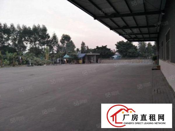  麻涌镇独门独院厂房仓库出租（厂9000平，空地大）