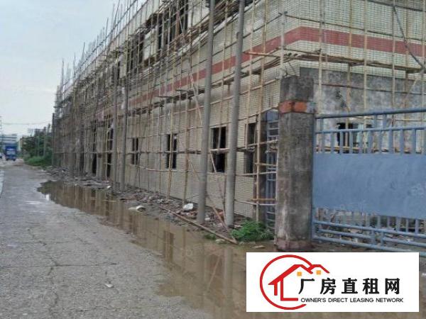  麻涌镇独院单一层2000方厂房急租（适合做厂房或仓库用途）