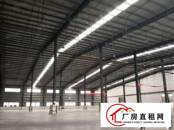  麻涌新出高台仓库13500平方丙二类机会不要错过