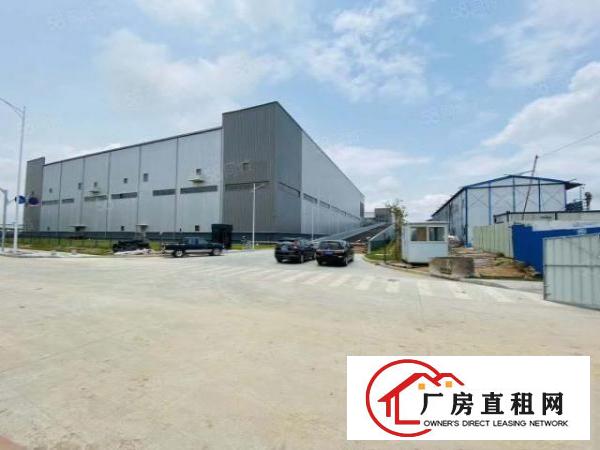  麻涌港口附近新出空地大单一层物流仓厂房招租