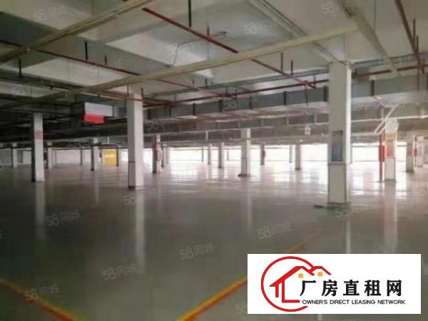  麻涌镇新沙港22000平方厂房出租（可分租）