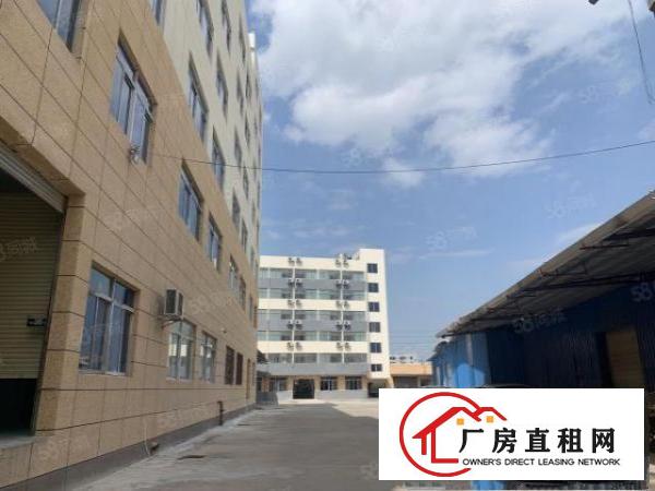  出租厂房12元一个平方