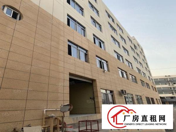  出租厂房12元一个平方