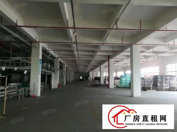  麻涌豪丰电镀园旁32000方厂房可分租（2000方起）
