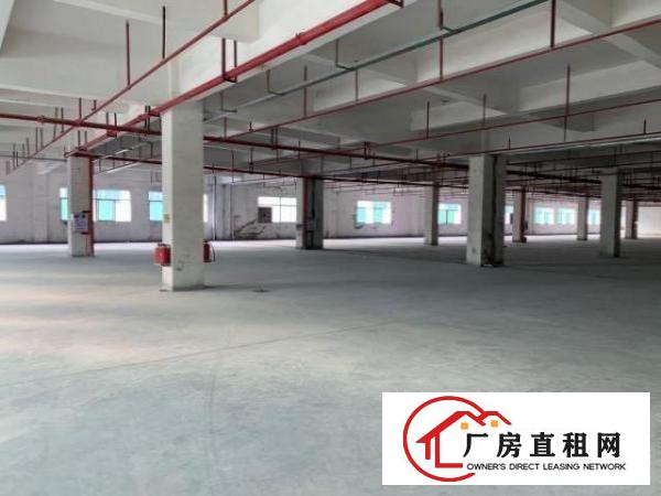  麻涌独院自有厂房21000平方共三层电630kW证件齐全