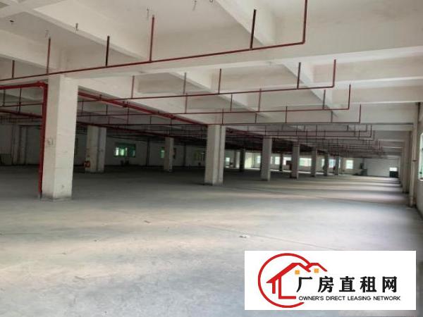  麻涌独院自有厂房21000平方共三层电630kW证件齐全