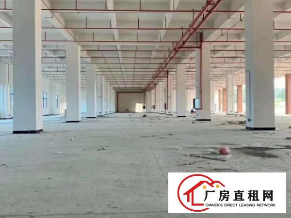  麻涌新沙港新出原房东标准厂房独门独院厂房20000平方