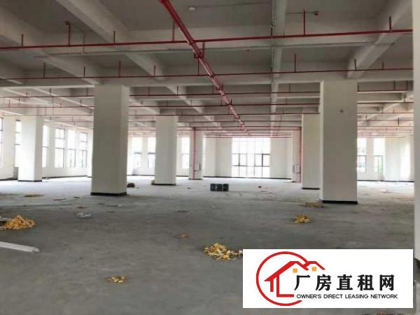  （出租）东莞厚街2楼有1060平方出租带装修原房东
