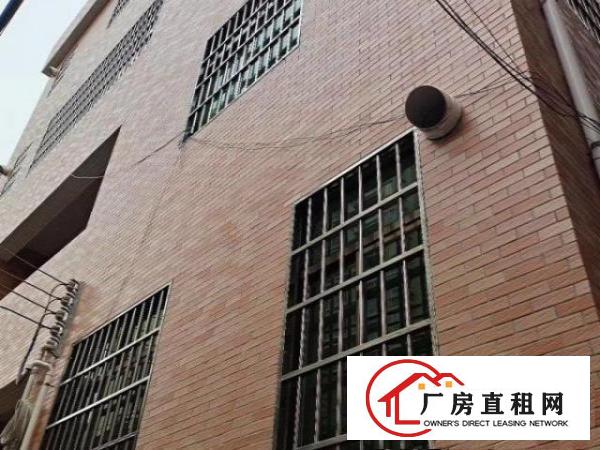  商住一体整栋办公楼出租