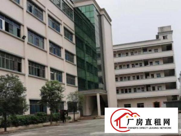  麻涌镇1000平方至30000平方村委厂房原房东厂房招租