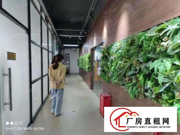  沙头角地铁口附近新出楼上560平带精装修厂房出租，可分租
