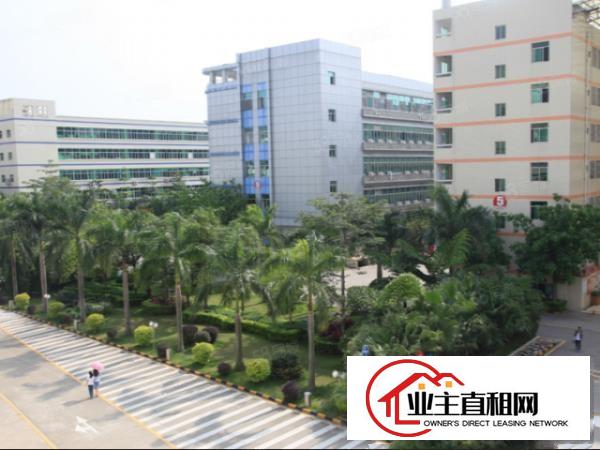  联创科技园676平开发商直租厂房园区配套成熟