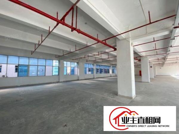  联创科技园676平开发商直租厂房园区配套成熟
