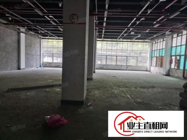  盐田沙头角原房东厂房一楼800平方红本面积出租实际面积出租