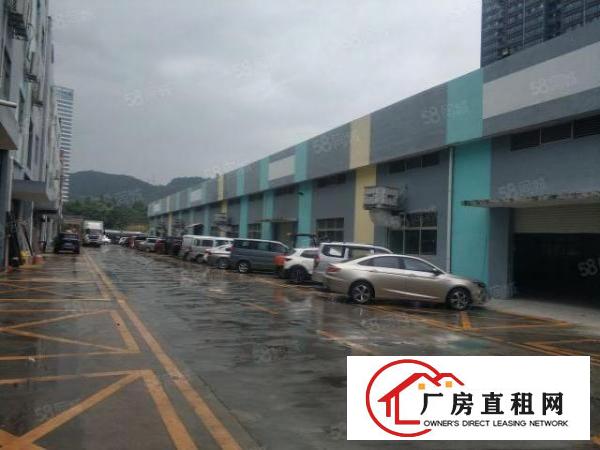  便宜，盐田惠盐路钢构厂房仓库1200平一楼进挂车方便层高7米
