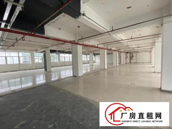 沙头角厂房出租，可做仓库、办公室，无管理费