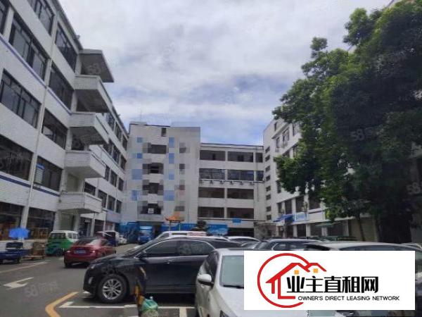  盐田港附近新出楼上500平带精装修厂房出租