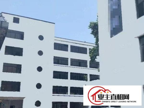  盐田港附近新出楼上500平带精装修厂房出租