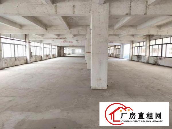  盐田区工业厂房业主直租停车位充足大小货车可进出